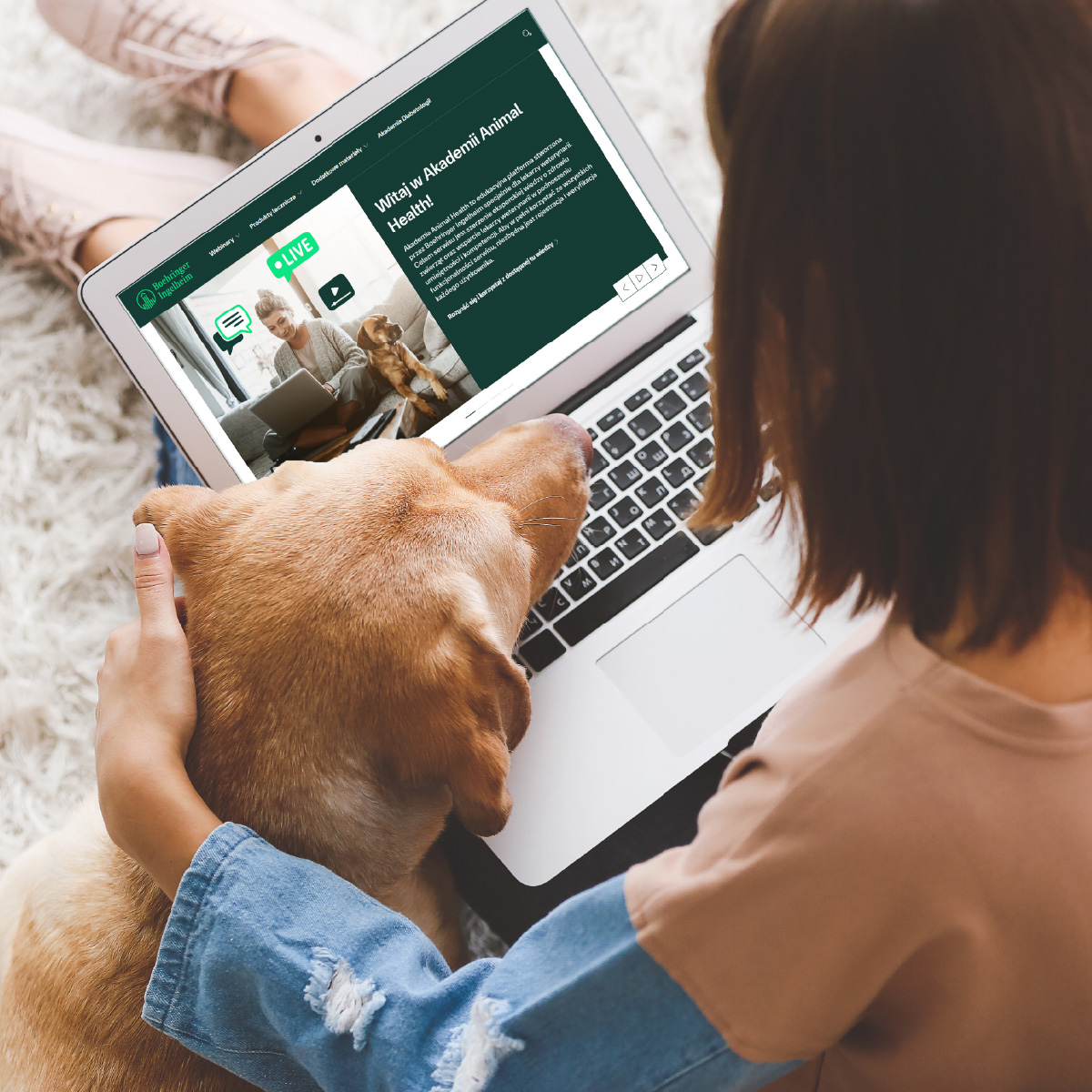 Użytkownik Akademii Animal Health